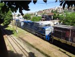 RUMO 9597